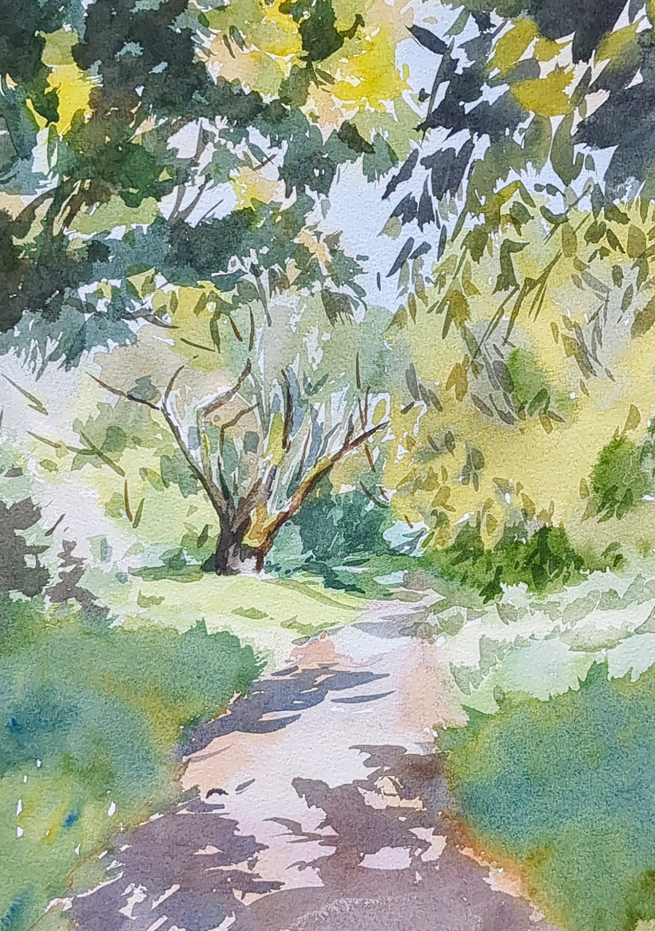 Path